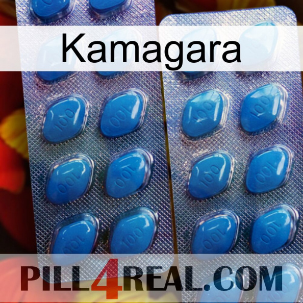 Kamagara viagra2.jpg